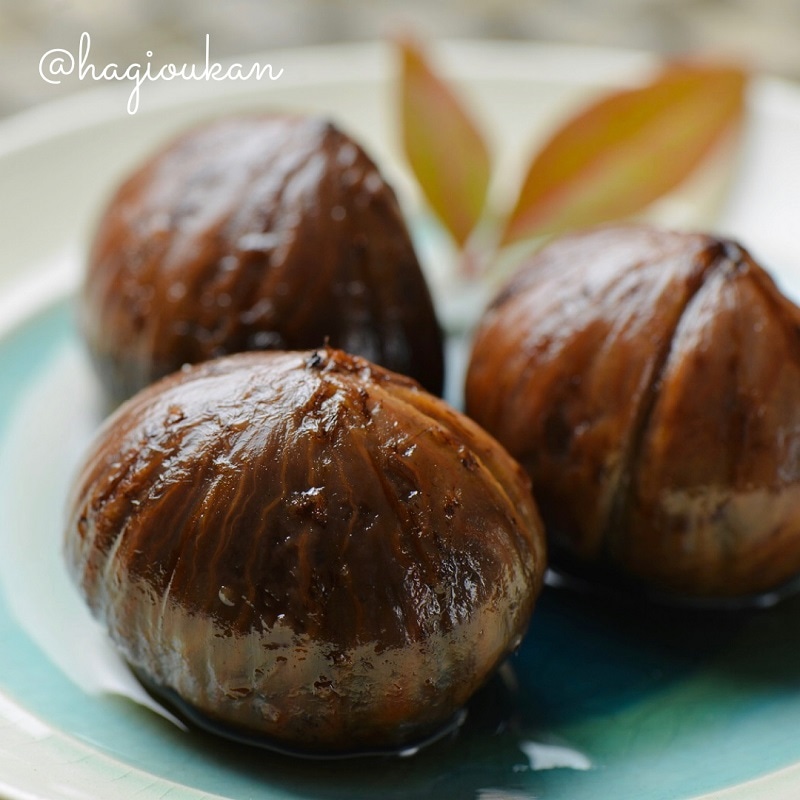 【道の駅萩往還限定】石川果樹園/栗の渋皮煮~萩蜂蜜~(大)