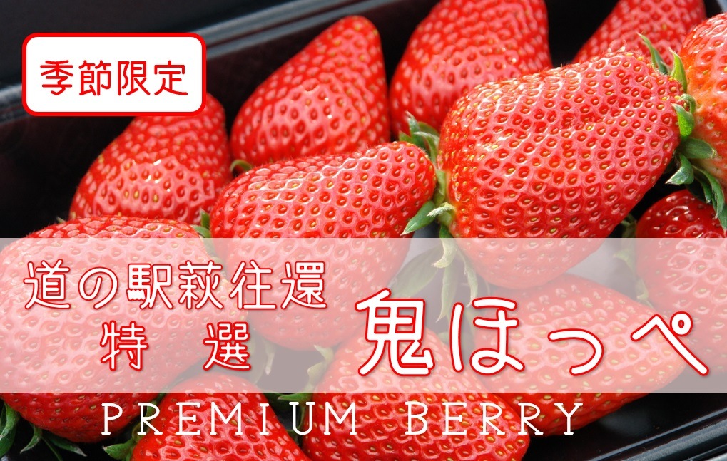 【道の駅萩往還限定】鬼ほっぺ® 特選［15粒入］（冷蔵）　