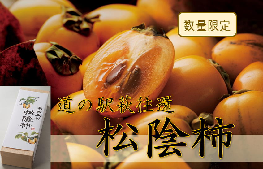 【150年の時を超えた】松陰柿/西条柿合わせ (冷蔵)
