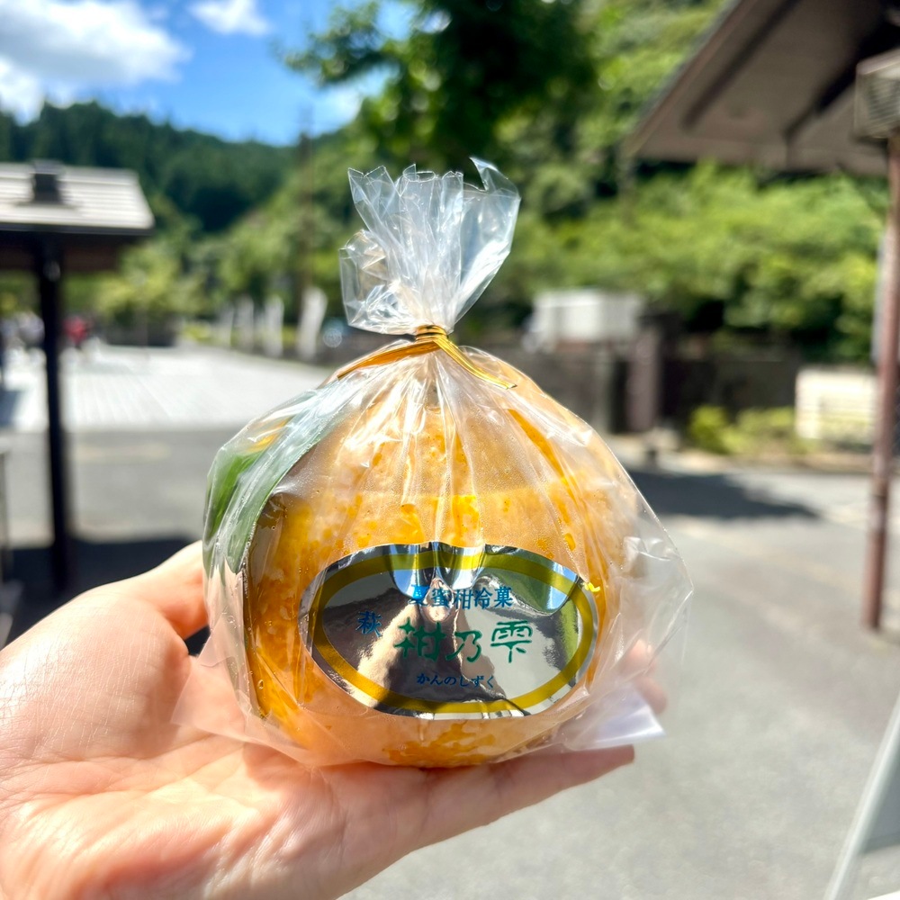 ★大玉入荷★【萩名産夏蜜柑】萩たけなか／柑の雫　大玉　1個 （冷蔵）