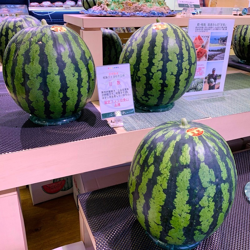 【萩・夏の銘品／夏ギフト】相島スイカ　「甘泉」　秀品・10㎏超特大