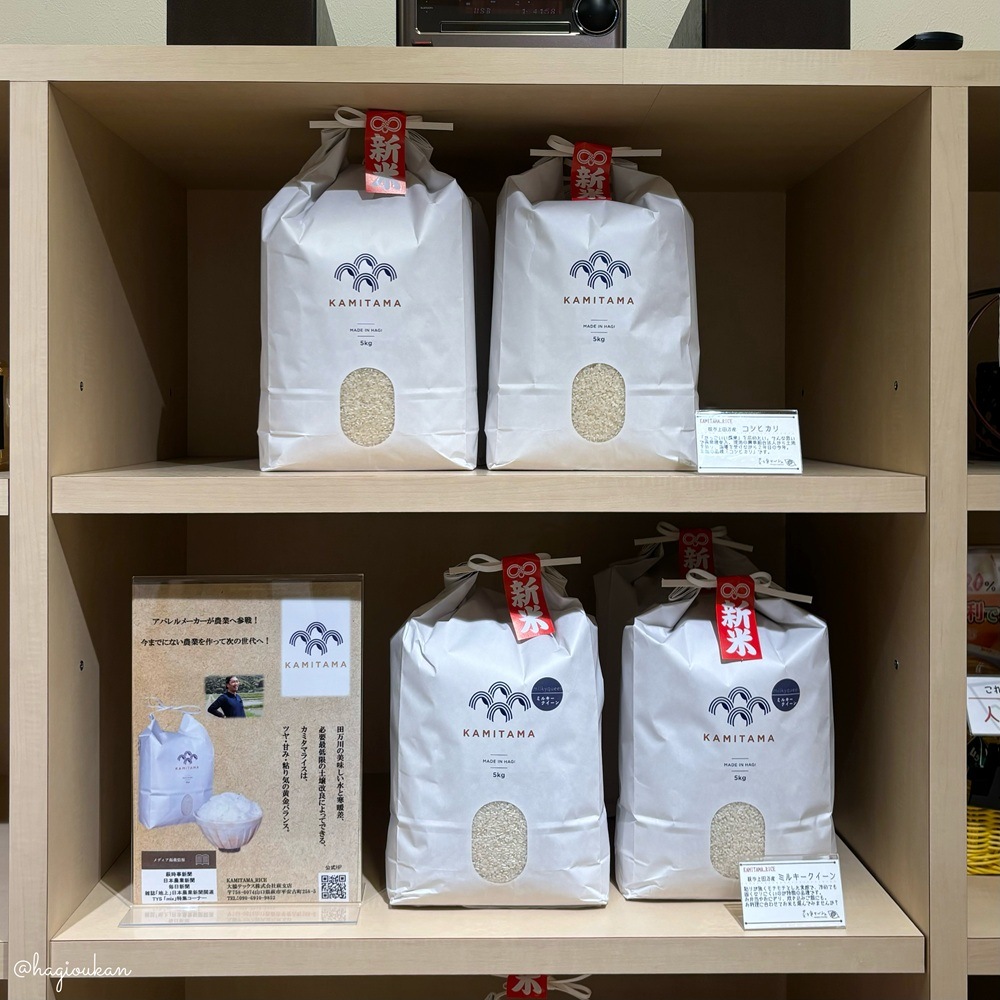 新米入荷!【令和8年産】KAMITAMA RICE:萩市上田万産 ミルキークイーン【うるち精米】5㎏