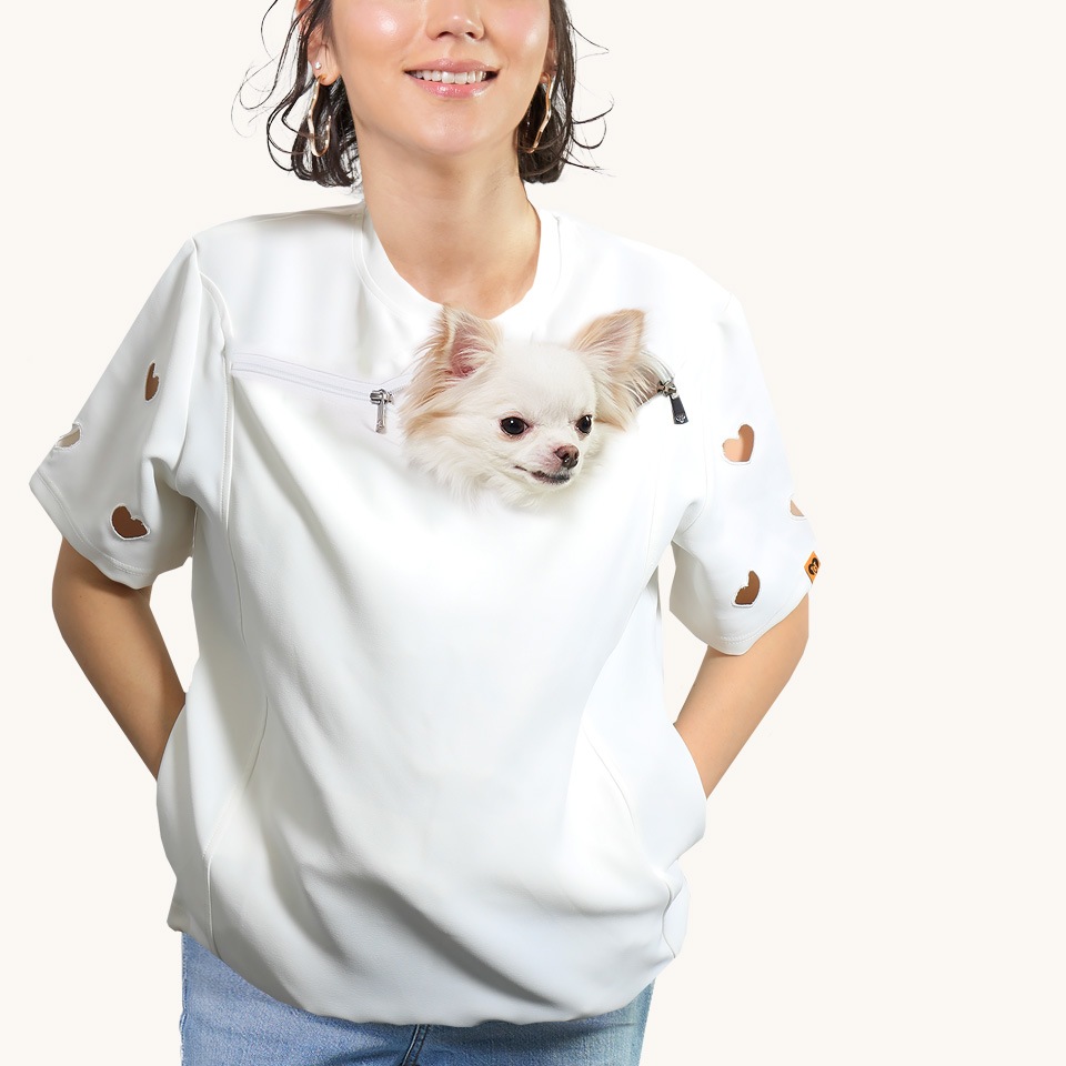 ϡȥåƥ󥰥ϥT / 2colorM-L / Woman 