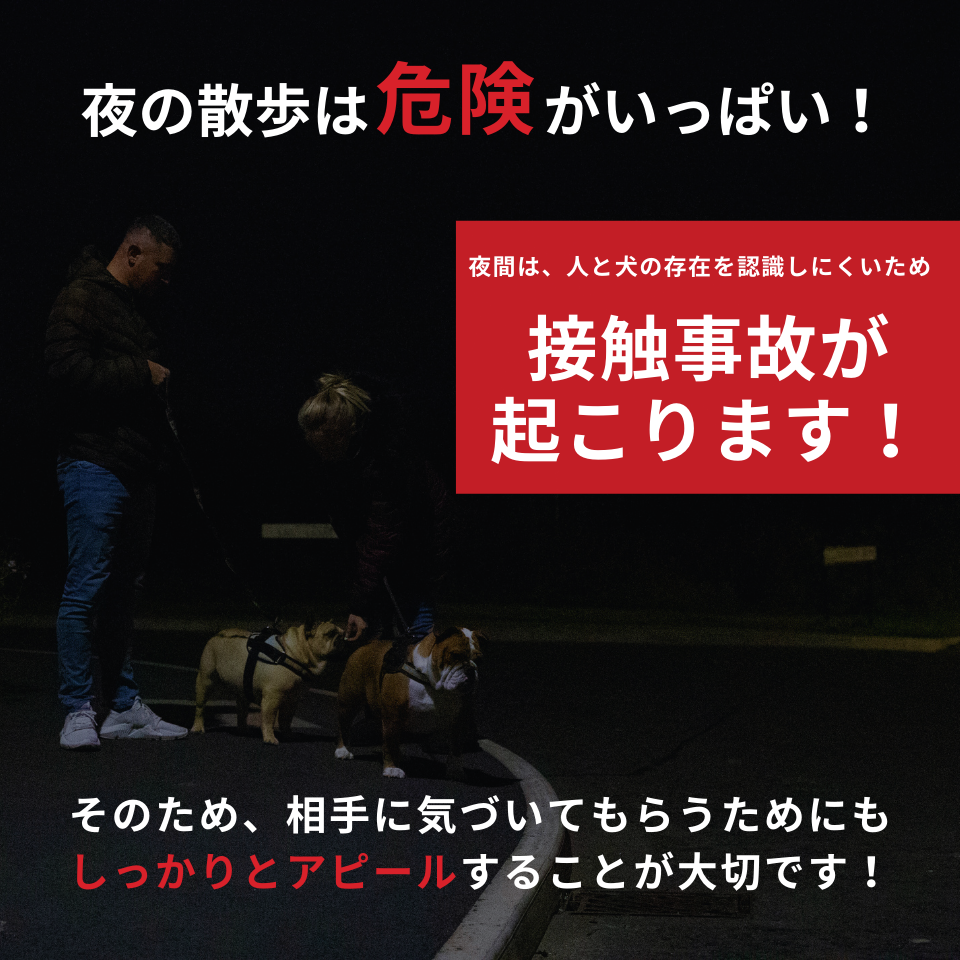 �ϥ󥺥ե꡼LED�饤�ȡ��Х��SET�� 5color ��