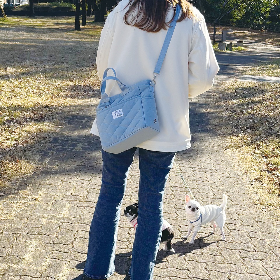 2WAY������Хå��� 4color ��