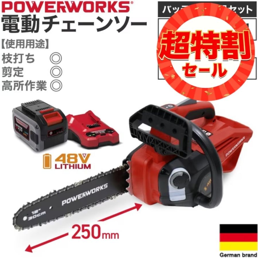 充電式電動チェーンソー P48CS30K4 | 木材加工関連,チェーンソー