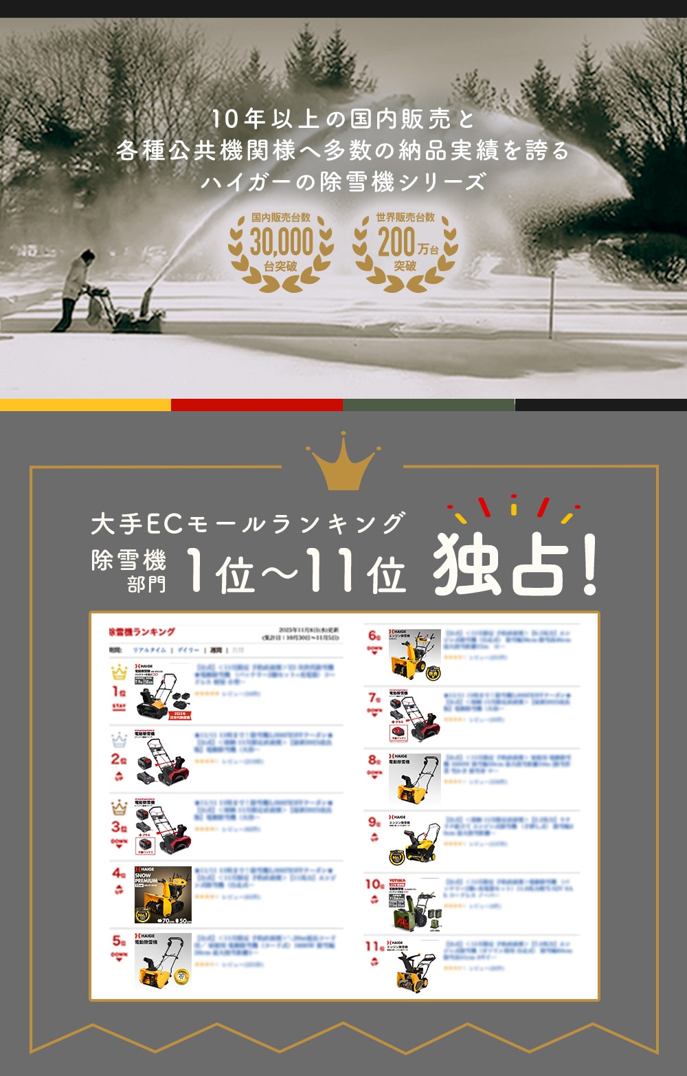 充電式電動除雪機 大容量バッテリー1個+急速充電器1個 SNE402