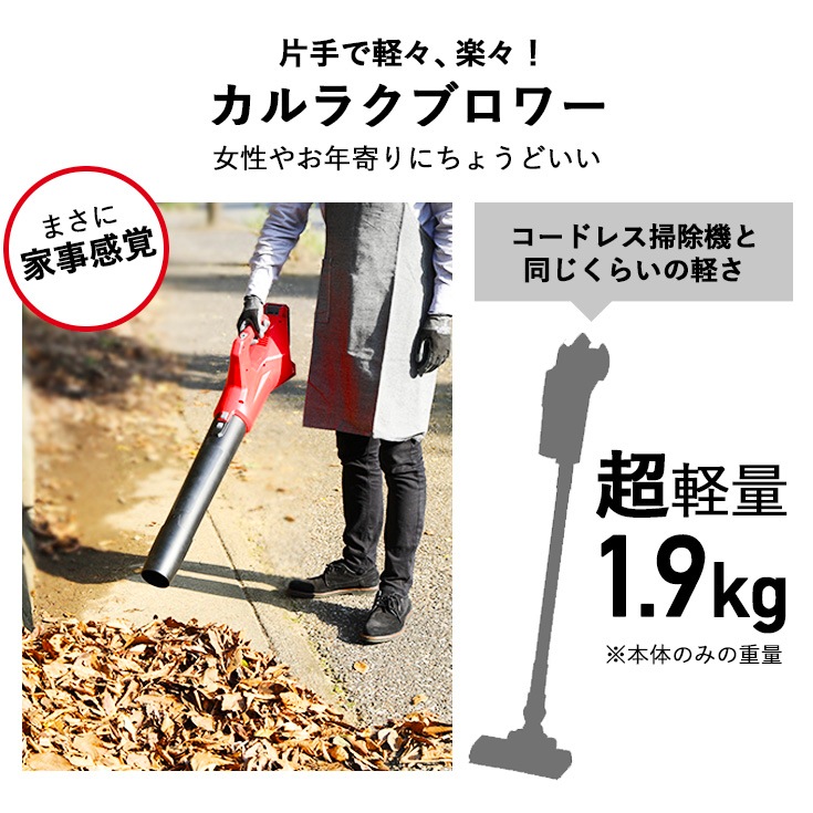 充電式ブロワー 本体のみ P24AB