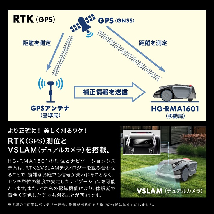 ロルカナ　シスー　２枚変更 1カートンで8シスー2枚出したい【ロルカナ】【ディズニー