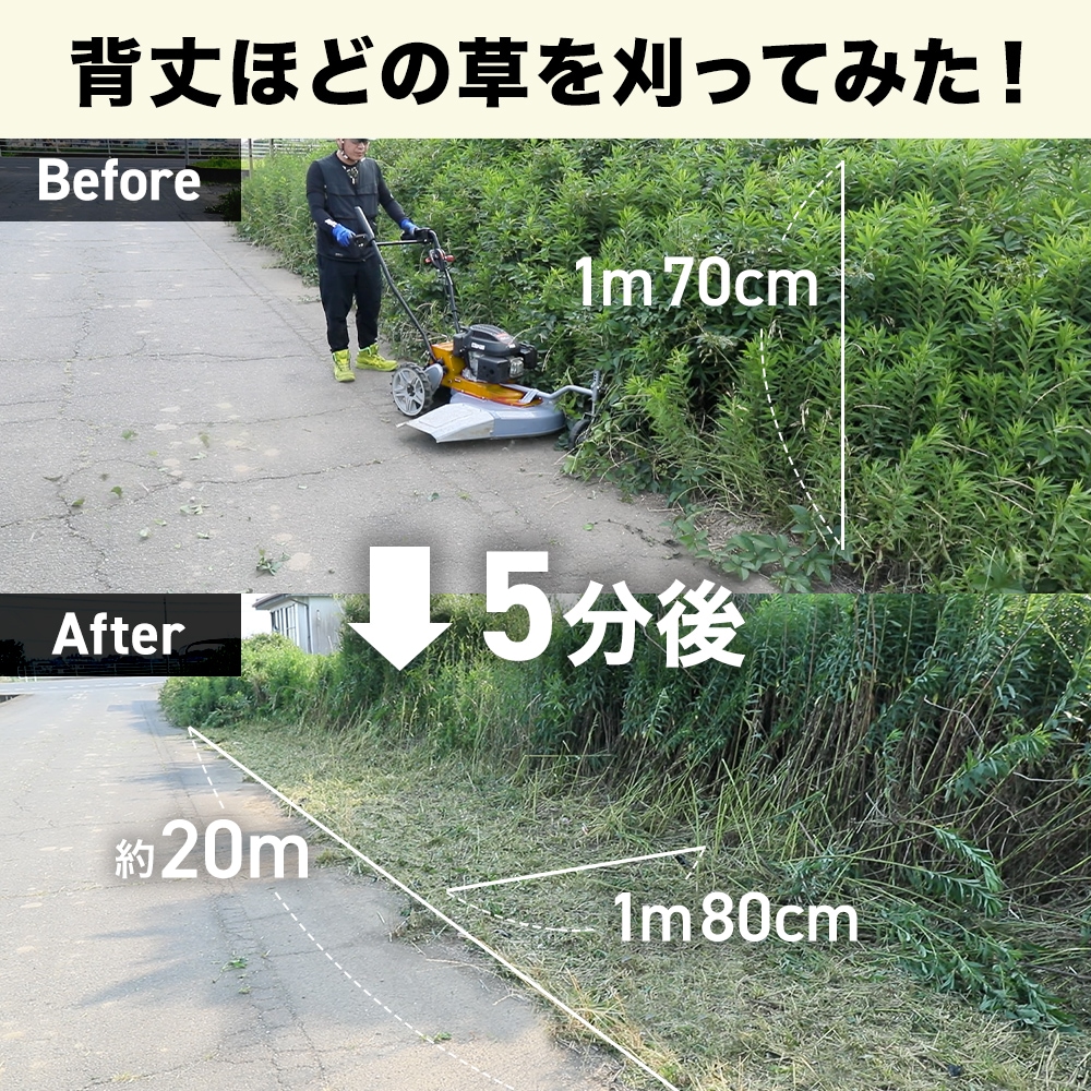 芭蕉 上、下の２冊セット 芭蕉 上、下の2冊セット 芭蕉 上、下の2冊セット
