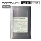 ランデックスコート WS-B（ツヤ消）クリア 15kg／缶 WS疎水剤　大日技研工業