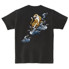 �����ԥ���ġ������Ըס�[��ǥ�����Ⱦµ(�Хå��ץ���)]