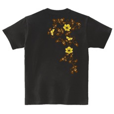 �����ԥ���ġ��������(��)��[��ǥ�����Ⱦµ(�Хå��ץ���)]