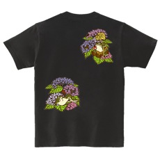 �����ԥ���ġ�Ļ�õ���_���۲ֳ���[��ǥ�����Ⱦµ(�Хå��ץ���)]