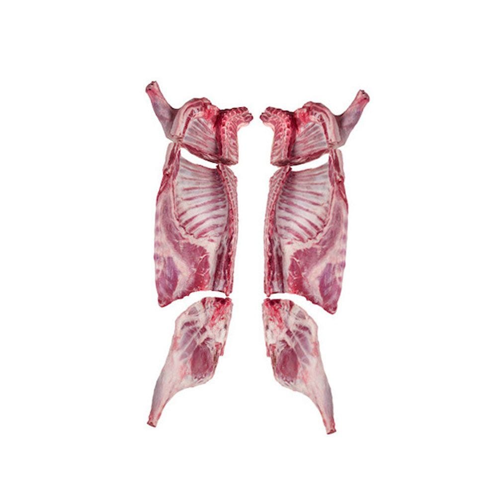 【HAJJIBABA】LAMB CARCASE 7cm cut/ラム骨付枝肉ぶつ切り