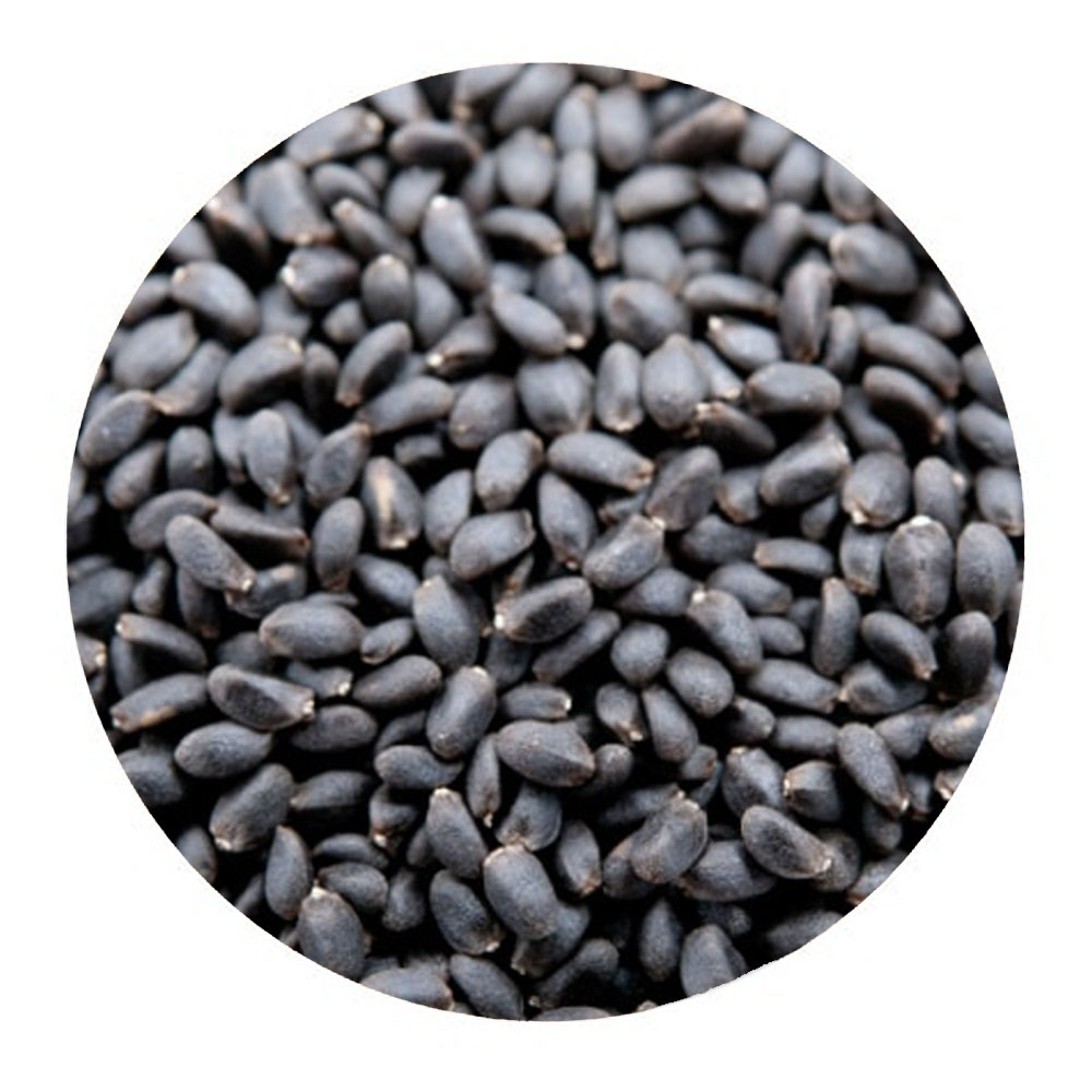 【HAJJIBABA】BASIL SEED/バジルシード 100g、20g