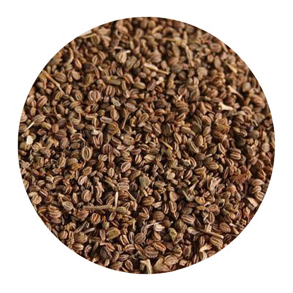 【HAJJIBABA】CELERY SEED/セロリーシード 20g