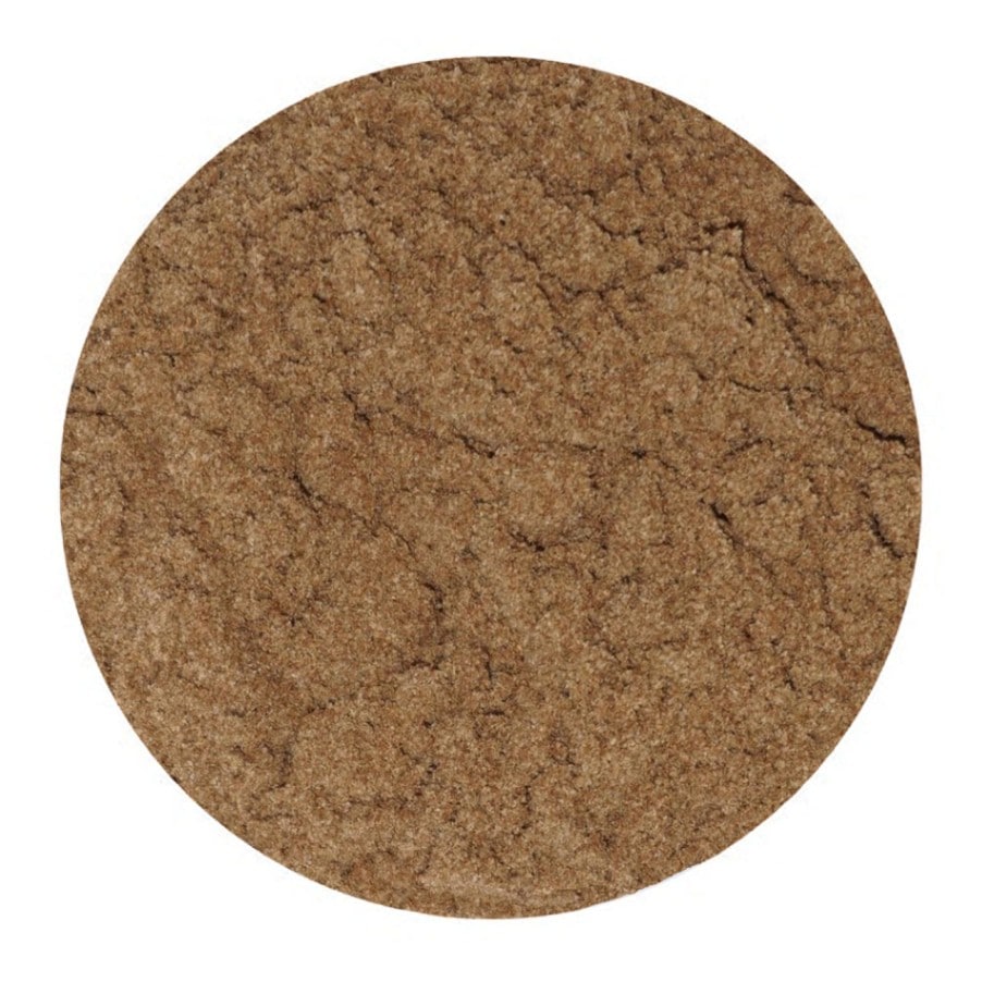 【HAJJIBABA】DILL SEED/ディルシード 20g