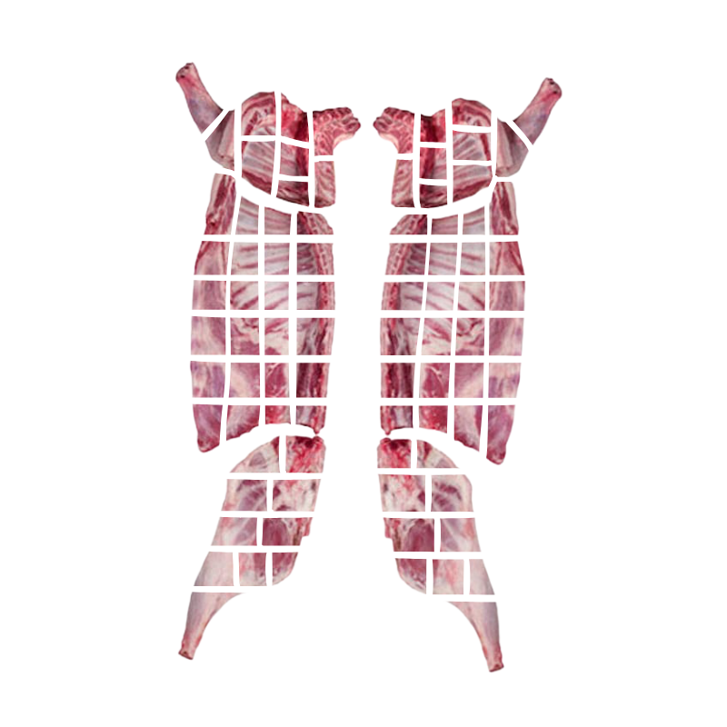 HAJJIBABA】LAMB CARCASE 7cm cut/ラム骨付枝肉ぶつ切り | MEAT