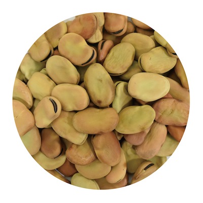 HAJJIBABA】FAVA BEANS/そら豆（皮付き） 800g | BEANS -【HAJJI BABA