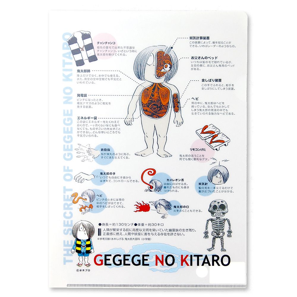 ゲゲゲの鬼太郎/クリアファイル 鬼太郎のひみつ（鬼太郎