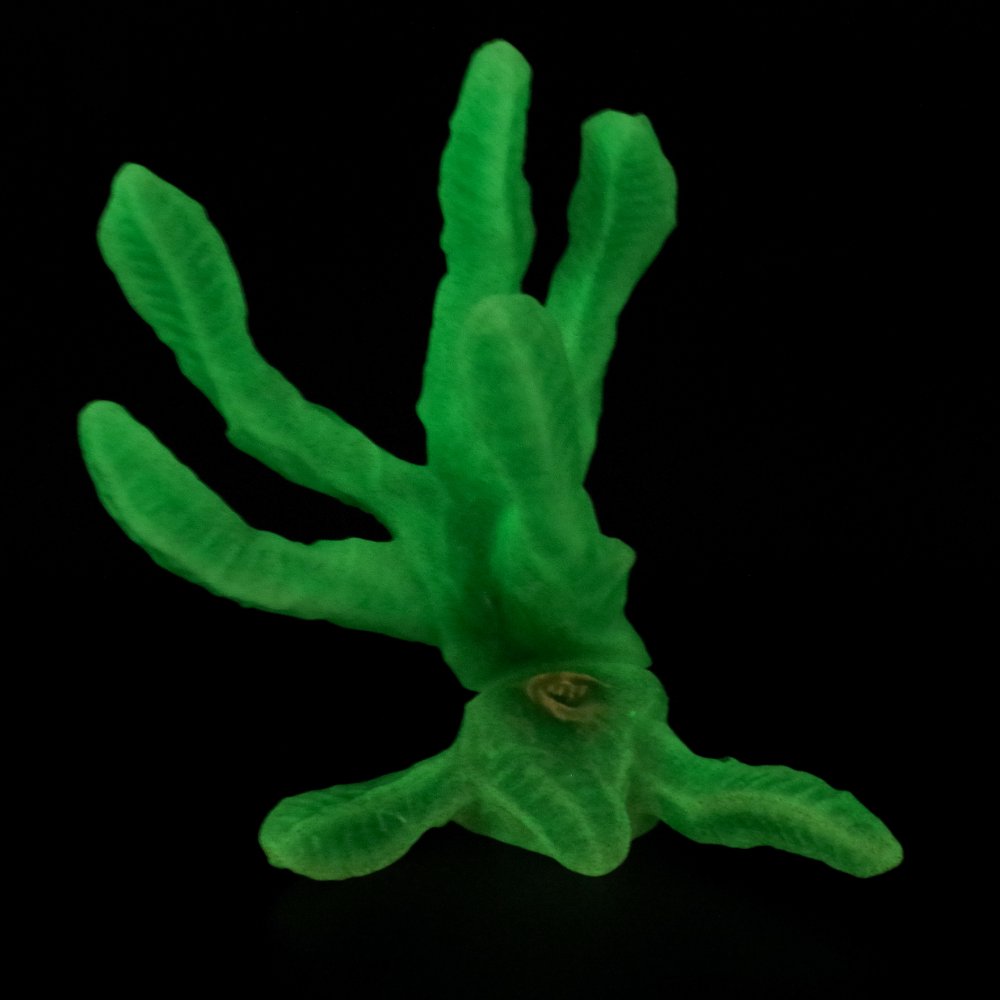 ソフビ/アマプロ/ウルトラマン/スフラン/ラメ入り蓄光｜墓場の画廊