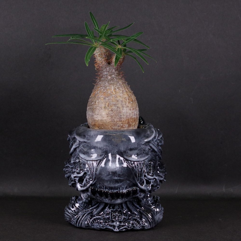 植物鉢/ワンオフ/JAY222TOY/Mad Pots（M）D｜墓場の画廊ONLINE STORE