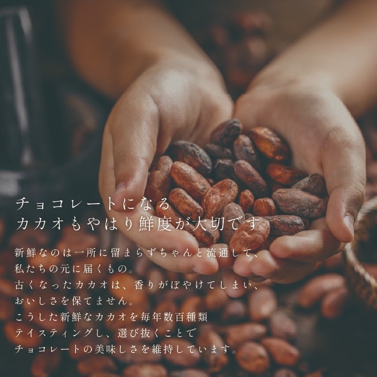 博多の石畳12粒入り（生チョコミルク）