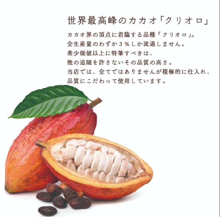 博多の石畳（ケーキ）箱New！