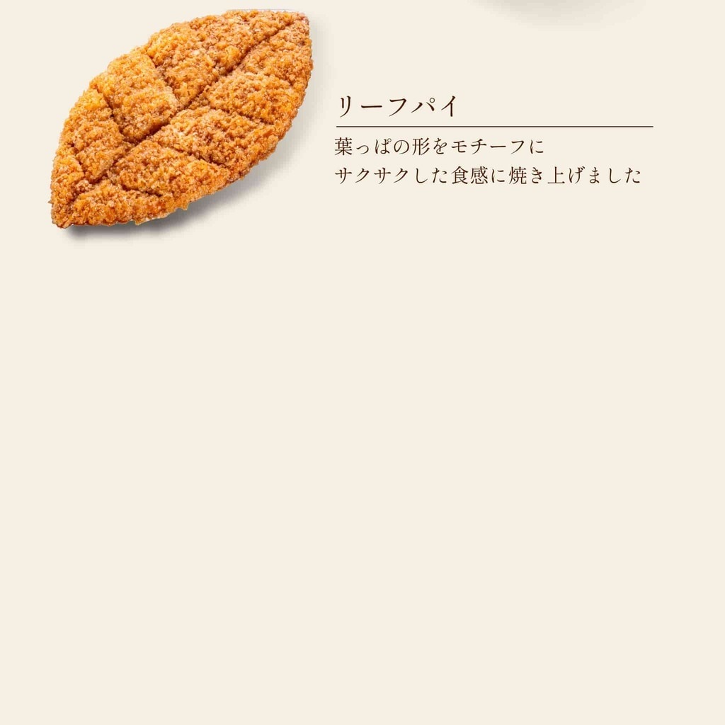 焼き菓子詰め合わせシリーズ（中）