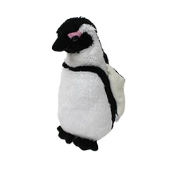 Penguin(S) ケープペンギン | すべての商品 | 横浜・八景島シー