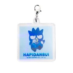 ͡Ȭ祷ѥHAPIDANBUI㡼ࡡХåɤФĴ