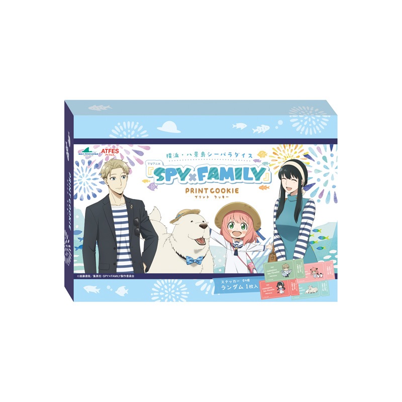 SPY FAMILY߲͡Ȭ祷ѥå(14)