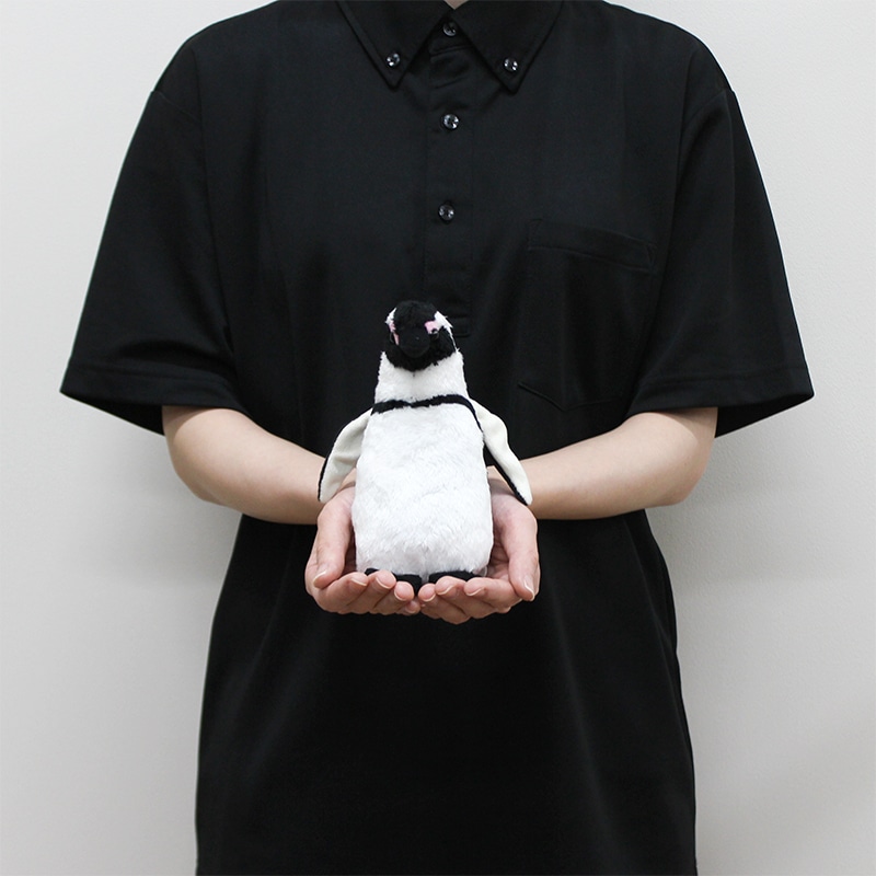 Penguin(S)�������ץڥ󥮥�