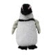 Penguin(S)�������ץڥ󥮥�