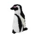 Penguin(S)�������ץڥ󥮥�