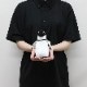 Penguin(S)�������ץڥ󥮥�