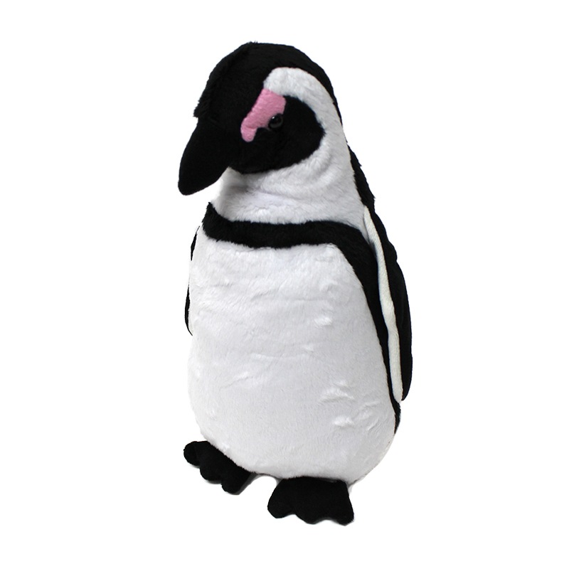 Penguin(M)�������ץڥ󥮥�