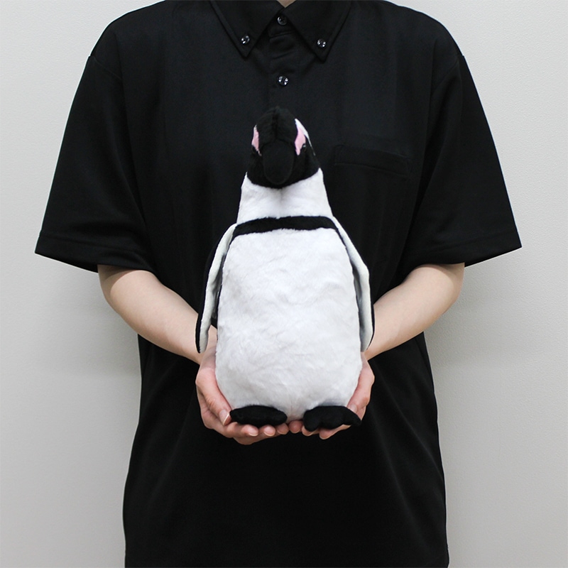 Penguin(M)�������ץڥ󥮥�