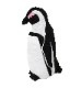 Penguin(M)�������ץڥ󥮥�