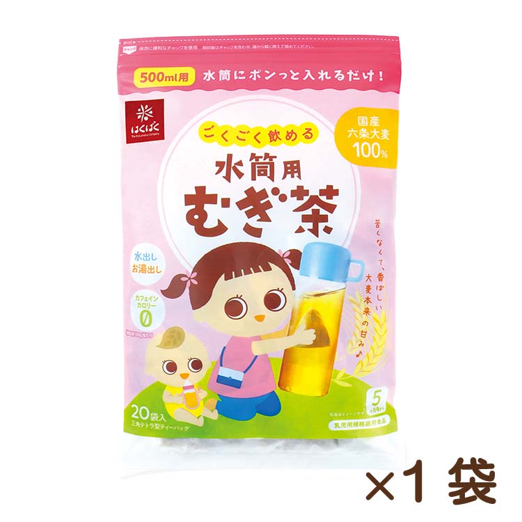 ごくごく飲める 水筒用むぎ茶 20ﾊﾟｯｸ