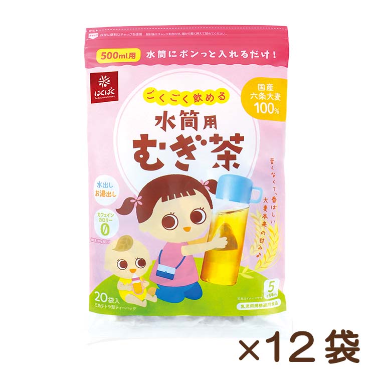 ごくごく飲める 水筒用むぎ茶 20ﾊﾟｯｸ×12袋