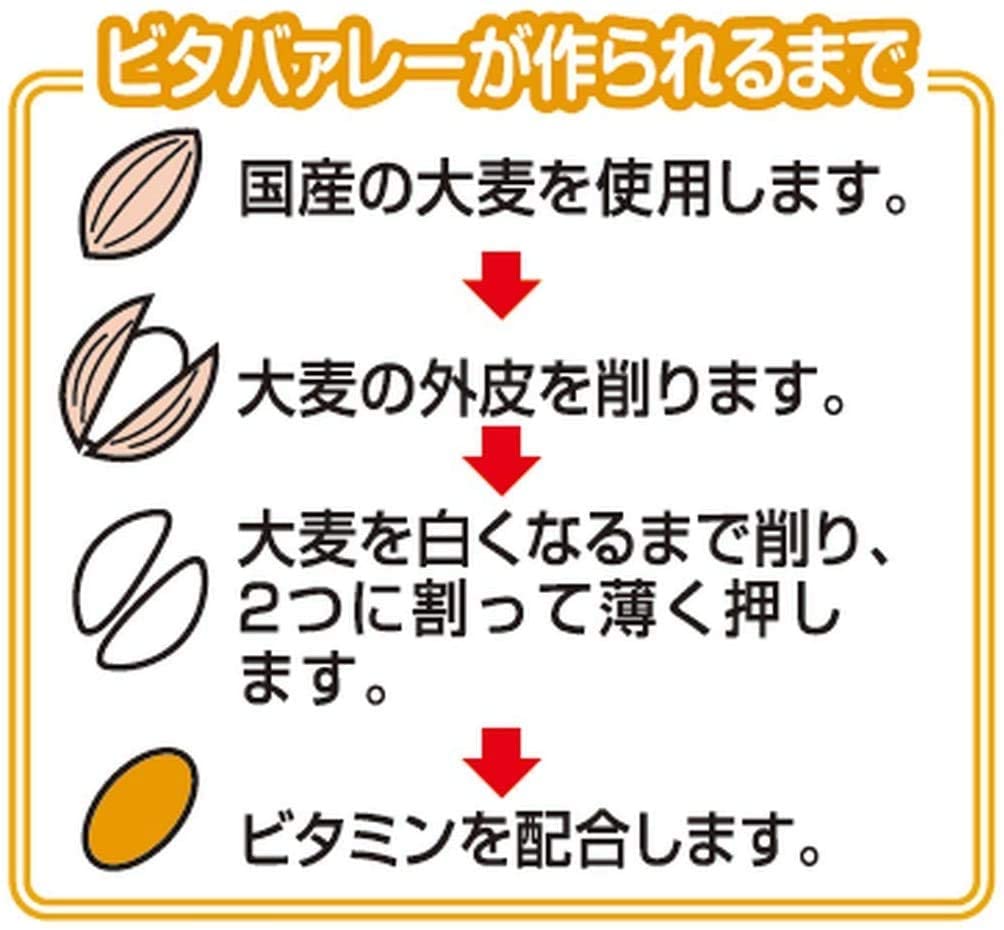 ビタバァレーSP 540g(45g×12)×6袋