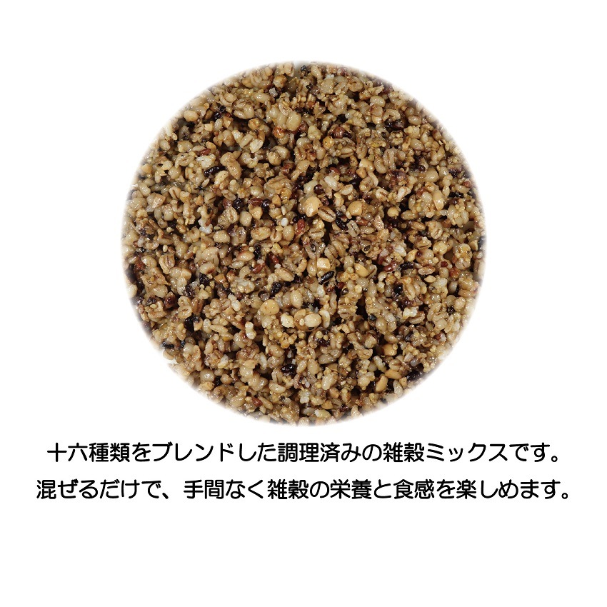 混ぜるだけもちもち十六穀100g×10袋