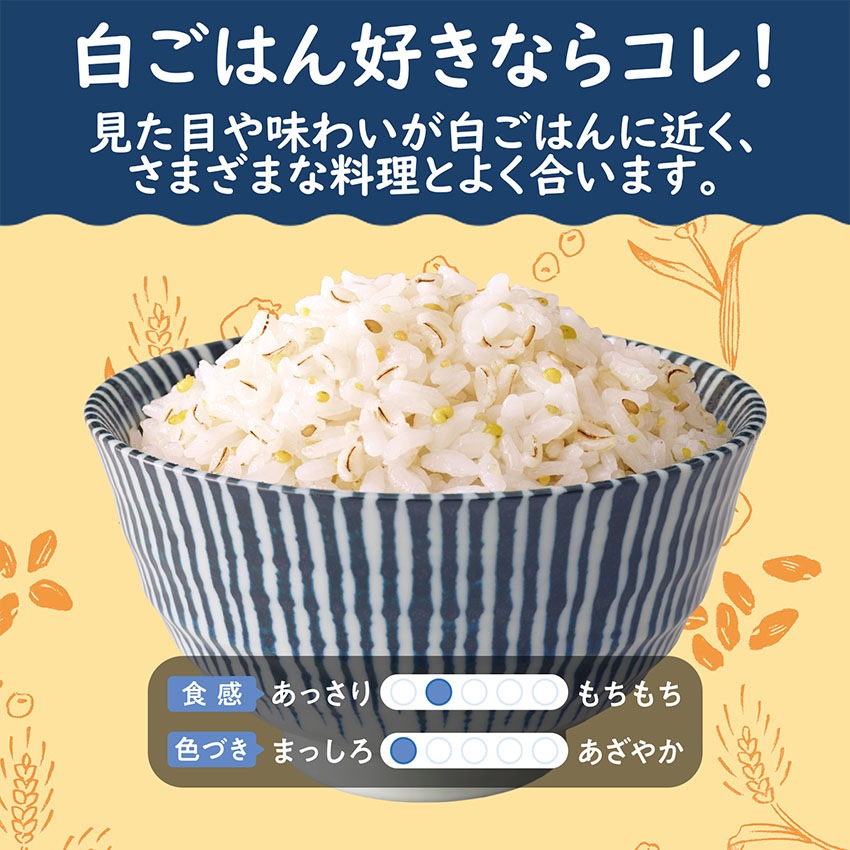 【送料無料】【同梱不可】あっさり五穀 240g×8袋【定期購入】