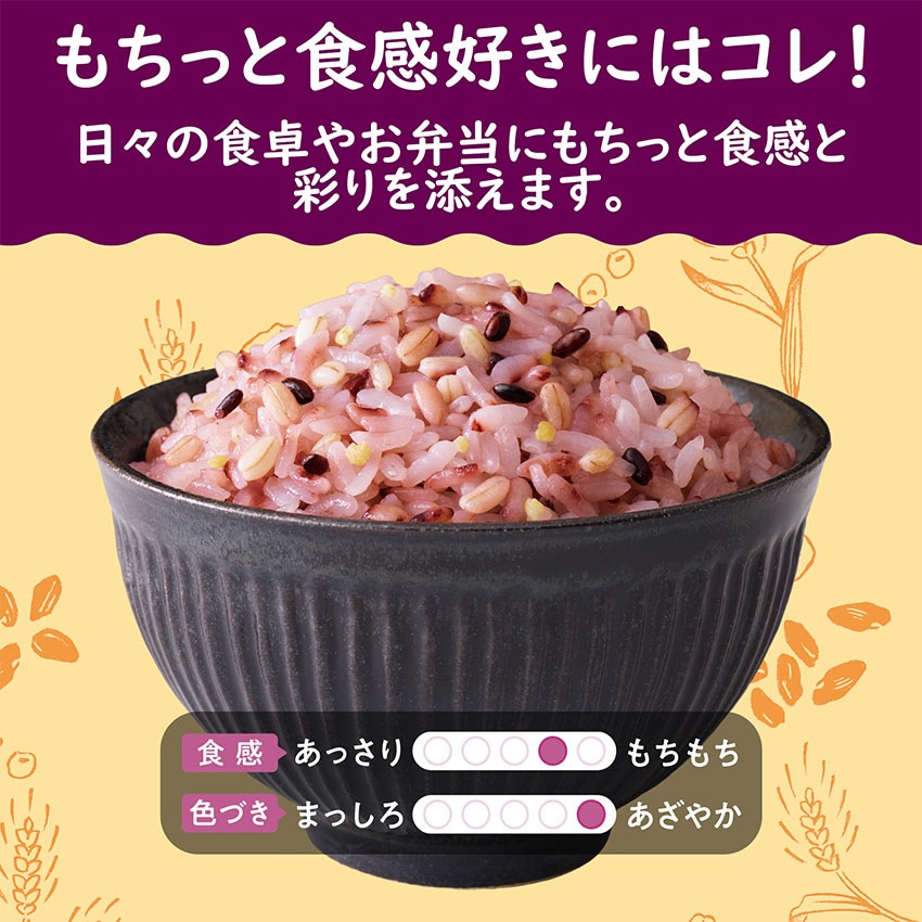 【送料無料】【同梱不可】もちっと五穀 240g×8袋【定期購入】