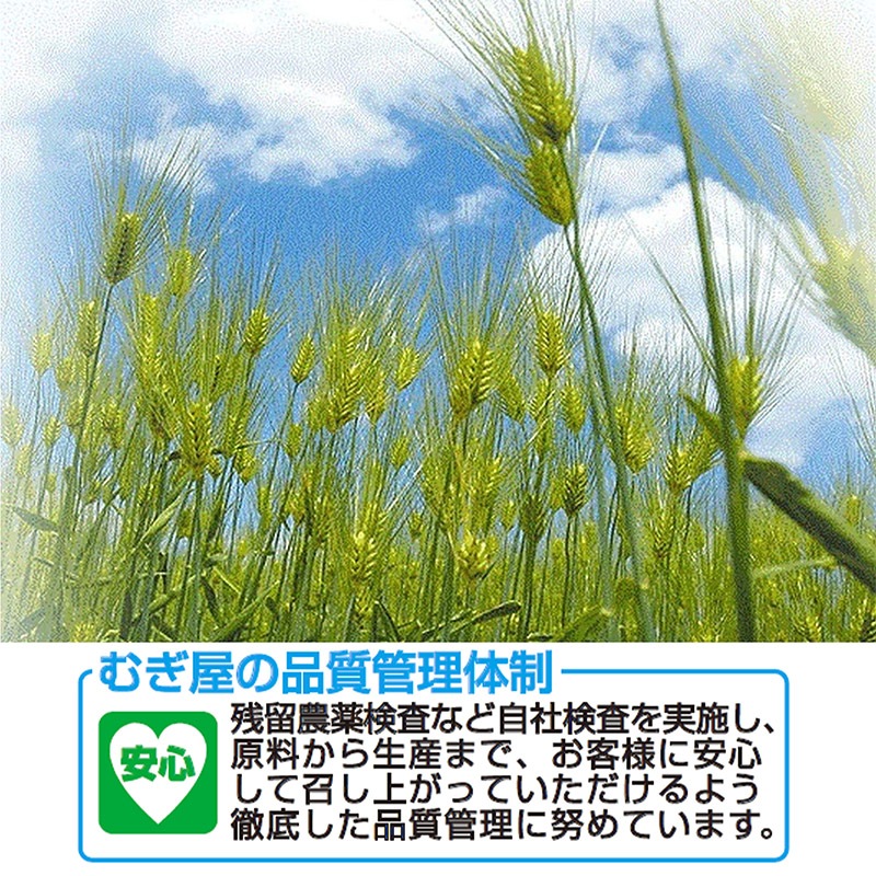 香ばし麦茶 52パック×20袋