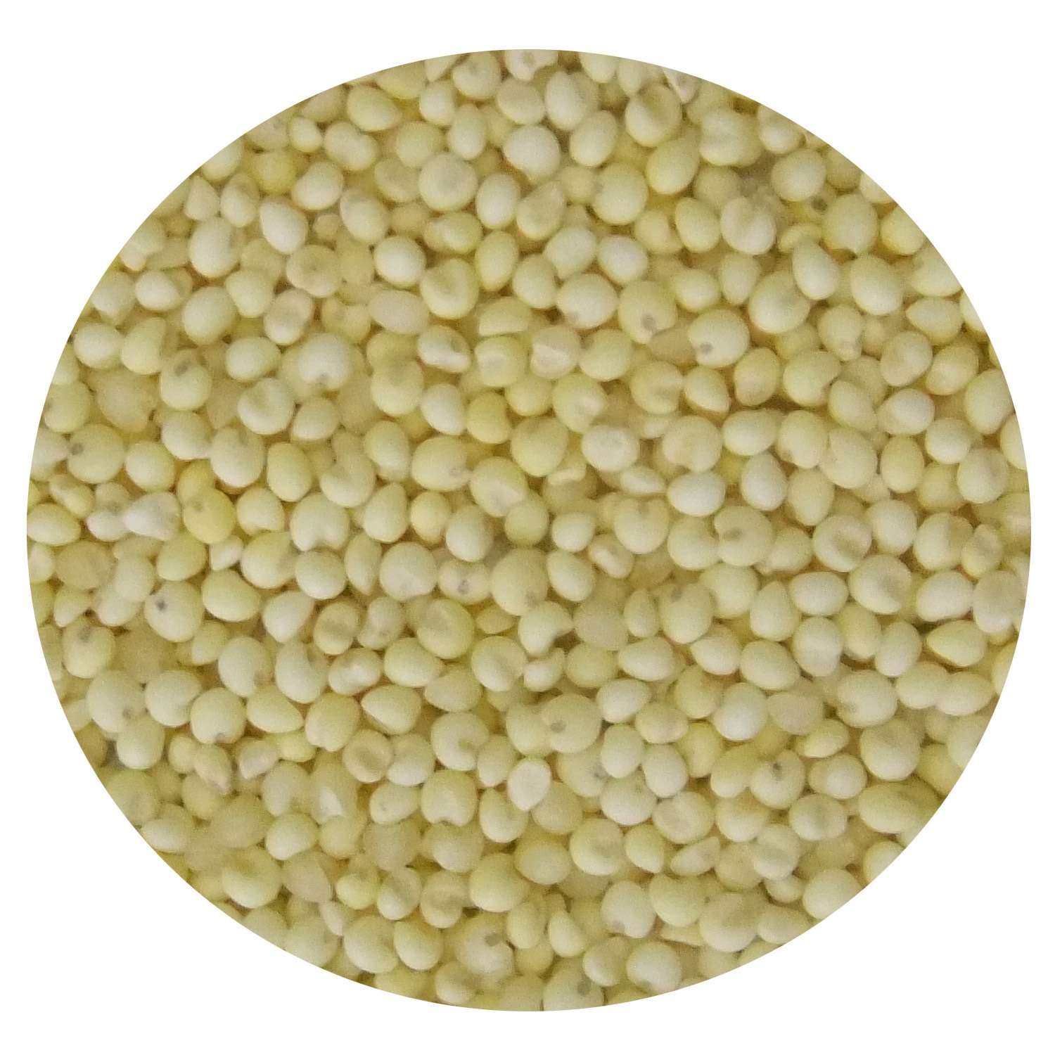 雑穀クッキングクラブもちきび 120g×8袋