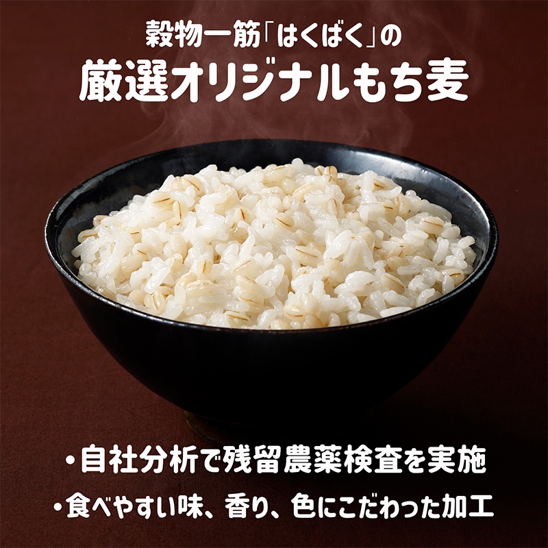 ●夏の贈り物ギフト