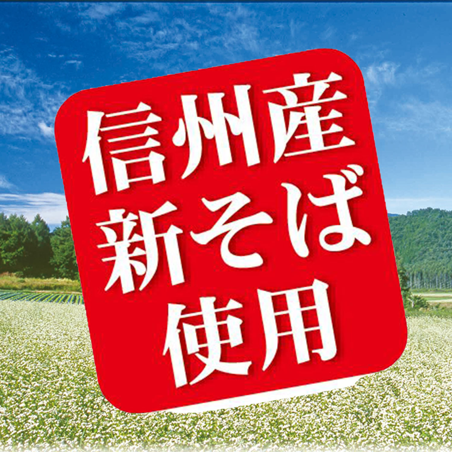 そば湯まで美味しい蕎麦 信州新そば 180g×20袋